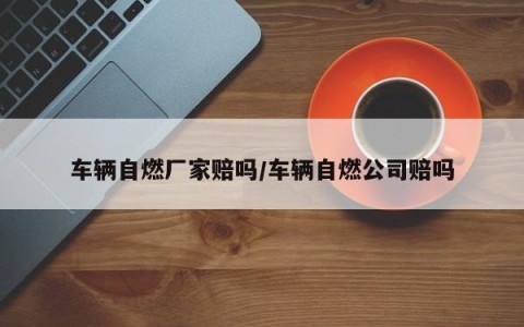 车辆自燃厂家赔吗/车辆自燃公司赔吗