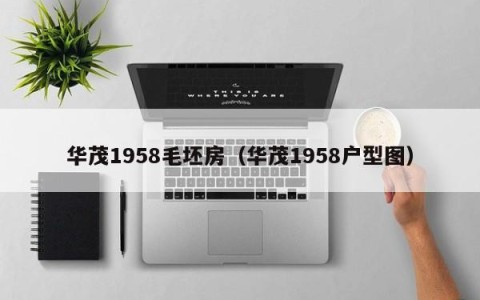 华茂1958毛坯房（华茂1958户型图）