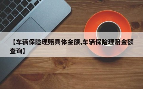 【车辆保险理赔具体金额,车辆保险理赔金额查询】